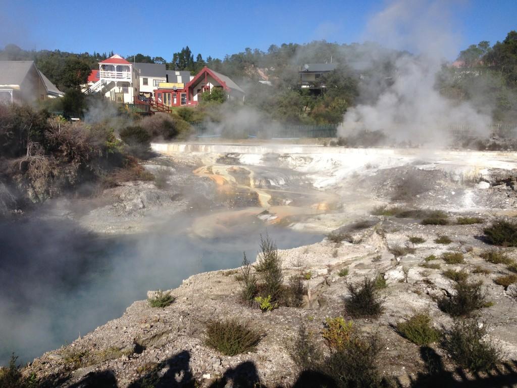 The hot springs and mineral deposits of the Whakarewarewa thermal village in Rotorua, New Zealand. PHOTO BY KAVLEEN SINGH
