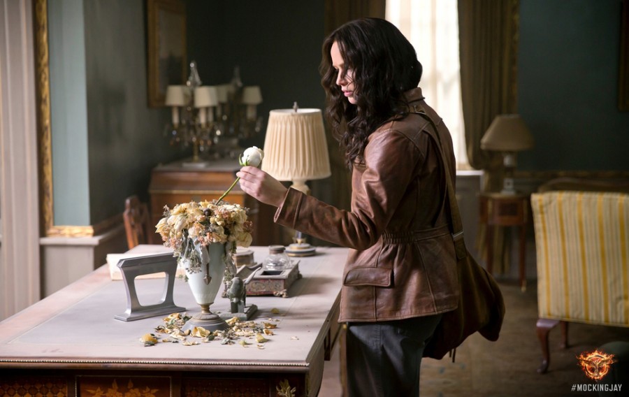 Photo from Mockingjay: Part 1 official site, used with permission under fair use.