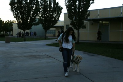 Emma Thomas walks on campus with service dog, Cruiser. Photo by Lily Jones