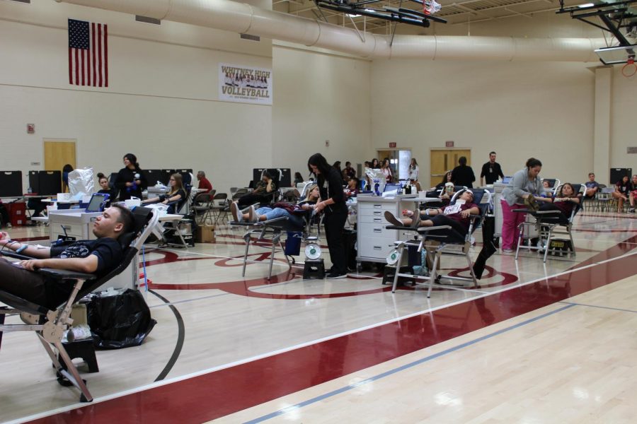 bloodDrive_oct26_bedrin_002