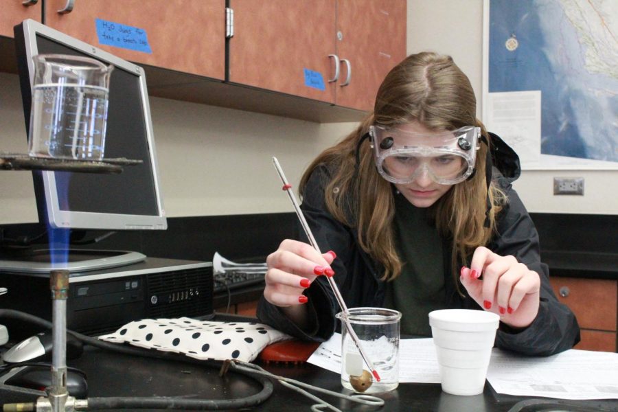 During Ms. Katie Torok’s fifth period Honors Chemistry class, Kloe Kelly works on her heat transfer lab. She is measuring the temperature shift when hot and cold water is added to metal. Photo by Daya Khunkhun