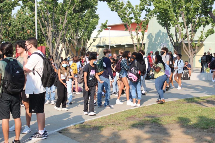 Students converse with each other during the new PAWS period, which was previously called Intervention. PAWS is everyday from 9:06-9:31 a.m. Photo by Francheska Pontillas. 