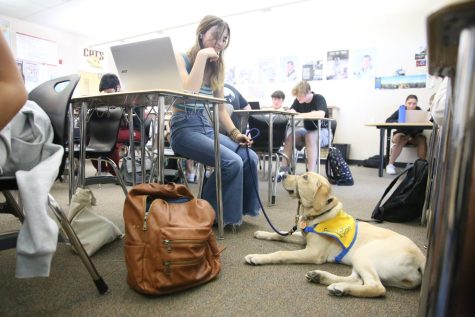 During government/economics, Emma Silva redirects her attention to Kokomo, her service dog in-training, before resuming her curriculars. Photo by Reese Moracco.